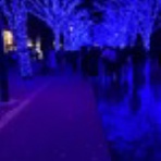 mitsueの おばさん　奮闘記