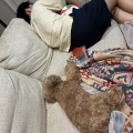 週末雑記