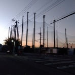 トリコ・ロートル部録