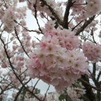 ちょっと幸せ、ずーっと幸せ