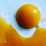 タケダダイスケの【地底探検】