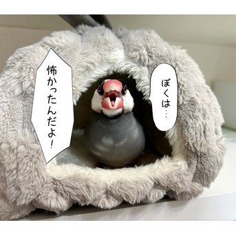 喜んでもらいたかったんです