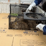 片づけの向こう側～奇跡の3日片づけ&夢をかなえる7割収納～