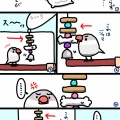 2024/12/15～12/21のとりのちから