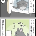 不正咬合の経過(2026年9月)後編