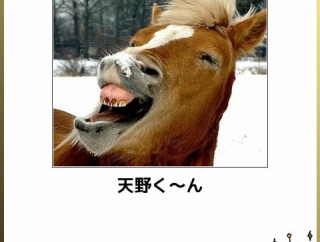 お前らがグッと来た画像を貼るスレ『時給528円で生きていける町』