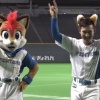 杉谷（.136）「きつねダーンスうぇーーーーい！！！！」