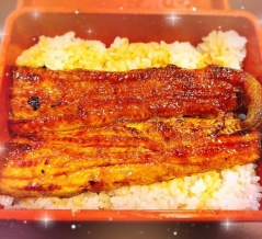 近況報告とうなぎ