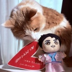 猫だらけ