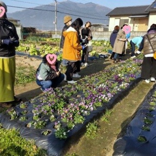 ブルーガーデンと花育て