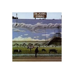 Desitively Bonnaroo/Dr. John : FUNK OF AGES