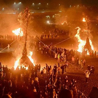 万葉歳時記 一日一葉