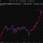 デイトレード株生活！空売り担がれ目指せ年収1千万