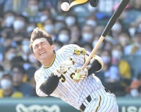 【阪神】山本、ファウルが顔面かすめヘルメット飛ぶ