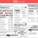 【衝撃】一人暮らしの俺の電気代ｗｗｗ