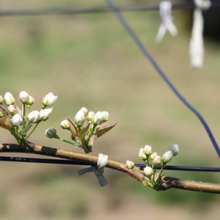 田所大介の富山なんでも食遊記