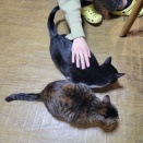 仲良しChristmas🎄