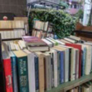 河野書店NEWS