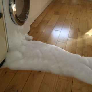 英国つれづれ日記