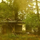 祖父母の家の模型を作ってる