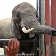 媛ちゃんの19歳のお誕生会♪　（３）