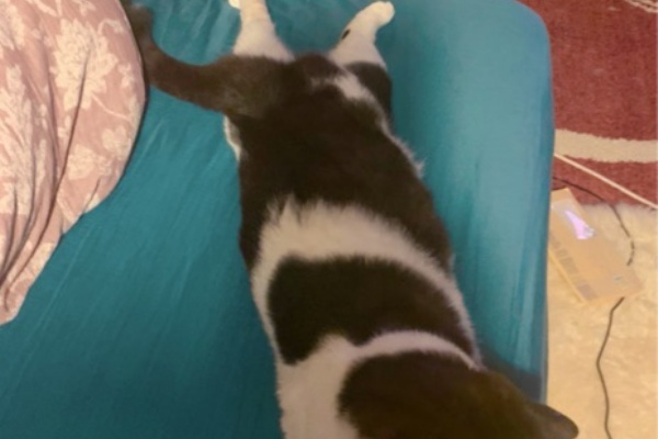 ふりむけば石川 21