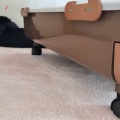 自由気ままに。