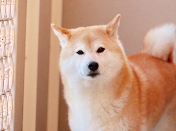 Gショックの新型が超クールｗｗｗｗｗｗｗｗｗｗｗｗｗｗｗｗ