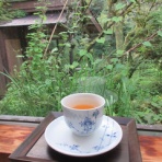 有機無農薬栽培茶　国友農園