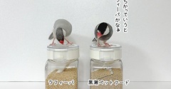 どちらも食べます！
