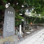 城めぐりの記録