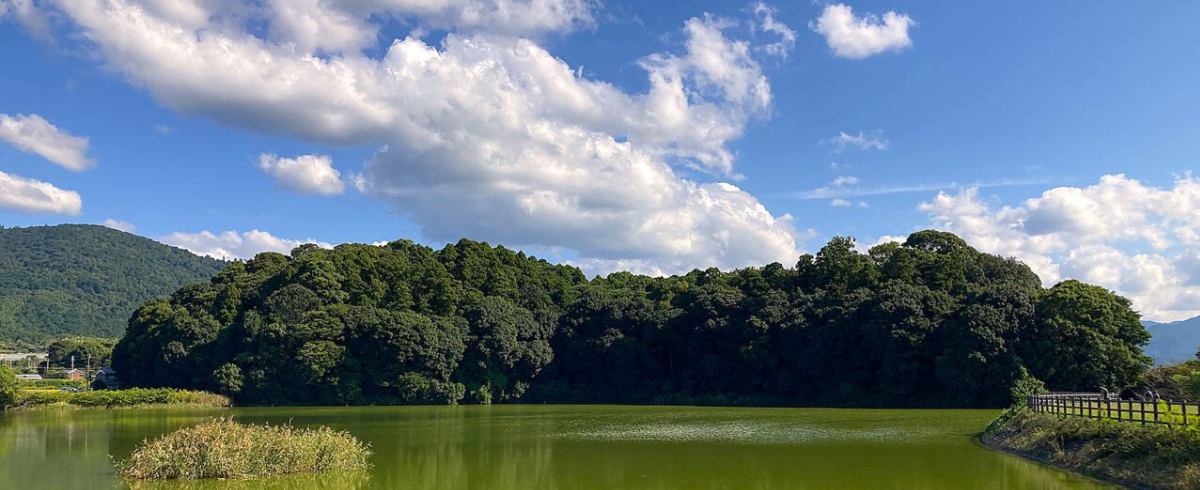 東大寺山古墳 全国の古墳・陵墓のデータベース(収集中)