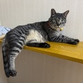 マルちゃん、元気でね～