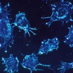 がん保険入るやつ「俺は俺がガンになるほうに賭けるぜ！！」←こいつなに？