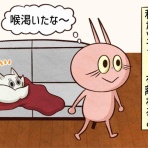 セニョリータかめのバルセロナ生活