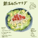 【食べ物イラスト】127おうちごはん、新玉ねぎサラダ【プロクリエイト】
