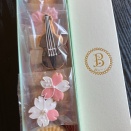 春のバイオリンギフト🌸