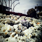 ０７とリッくんの成長記