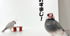 喧嘩をしながらお互いを気にするふたり