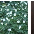 米国・イラン停戦協議は？