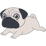 『7月25日のエントリーと対象店舗』の画像