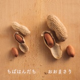 『「おおまさり」の種まき！』の画像