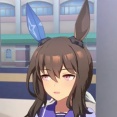 【ウマ娘】ダービーチャンミにアヤベさんを出そうと思うんだけど
