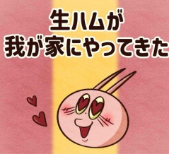 私のスペイン生活10