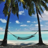 『【戦略】アクティブ投資は「天才の投資」。凡人はパッシブ投資してハンモックで寝る。』の画像