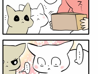 小箱と猫とチャレンジ精神