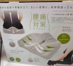 腎盂腎炎になりました。