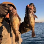 三邦丸船長日記