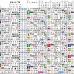 ハイブリッド競馬新聞
