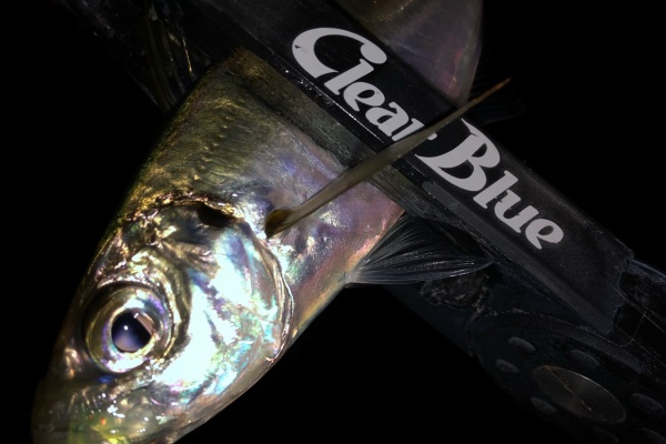 ぽけっとの小物gomoku日誌 博多湾 19